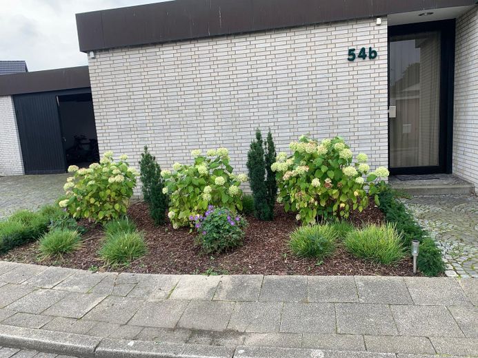 Wohnungseingang 54B