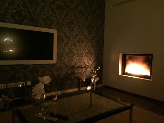 Kamin Winter