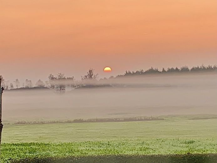 Sonnenaufgang aus dem Garten