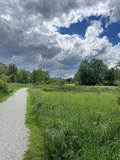 Stadtpark in 250m Entfernung 
