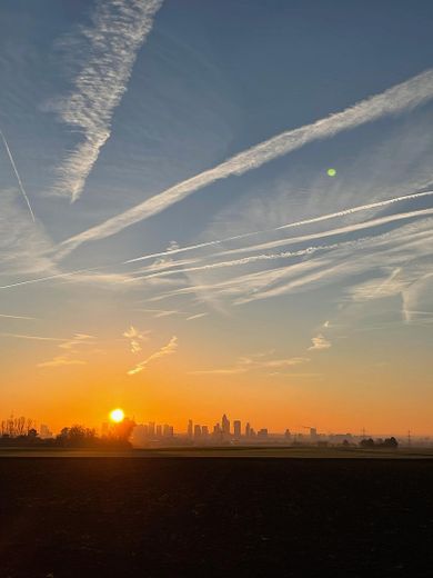 Sonniges Reihenendhaus mit Atelier - ruhige, familienfreundliche Lage, Garten & Blick über Skyline – Spaziergang am Morgen