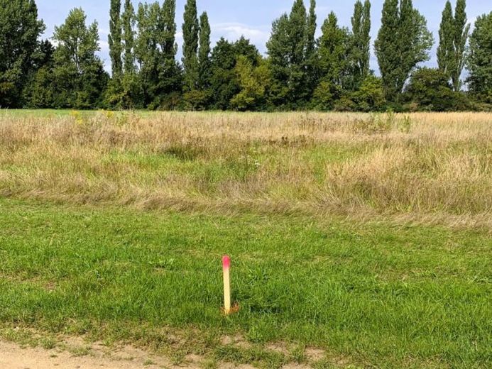Ampio spazio per abitare generosamente e per più generazioni – Foto 1