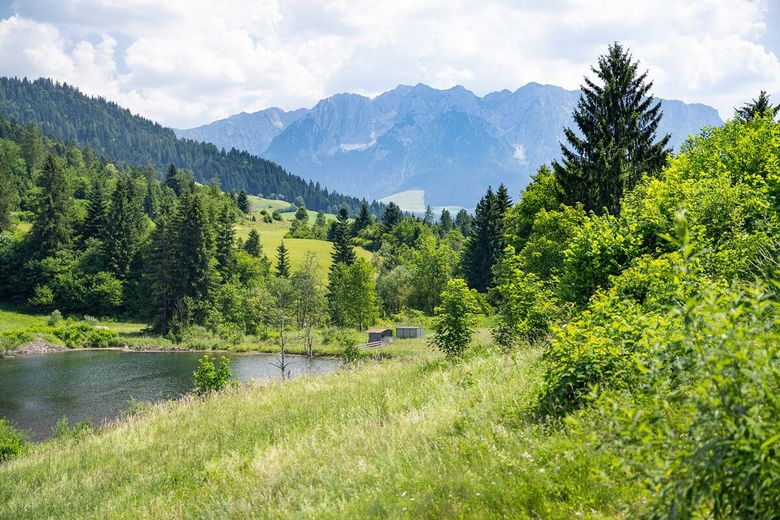Einzigartiger Bergblick - sanierte 3-Zimmer Wohnung in den Chiemgauer Alpen – mit diesem Ausblick