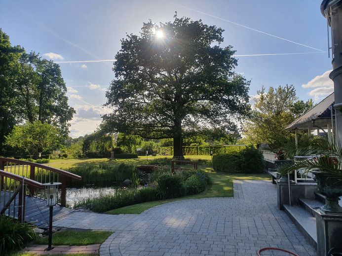 Represäntive Premium-Villa in gefragter Lage von Kolkwitz - VERKAUF IM DIGITALEN BIETERVERFAHREN – Garten