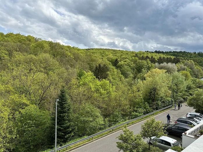 Blick von der Terrasse