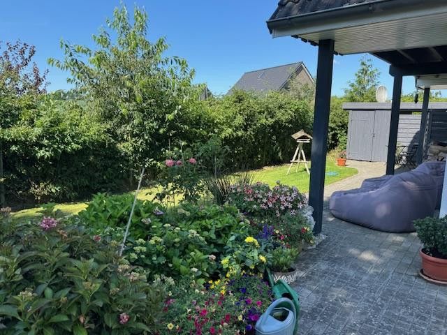Garten von Büschen umzäunt