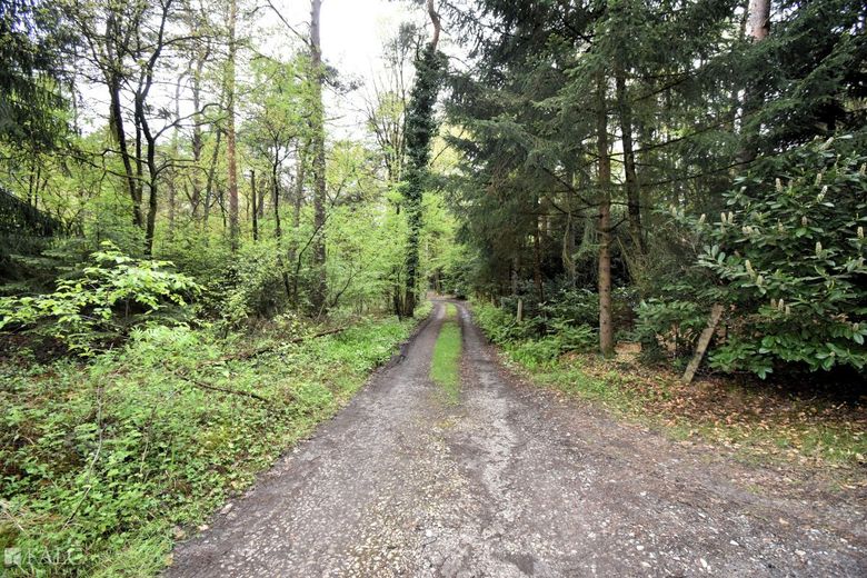 Bild 17