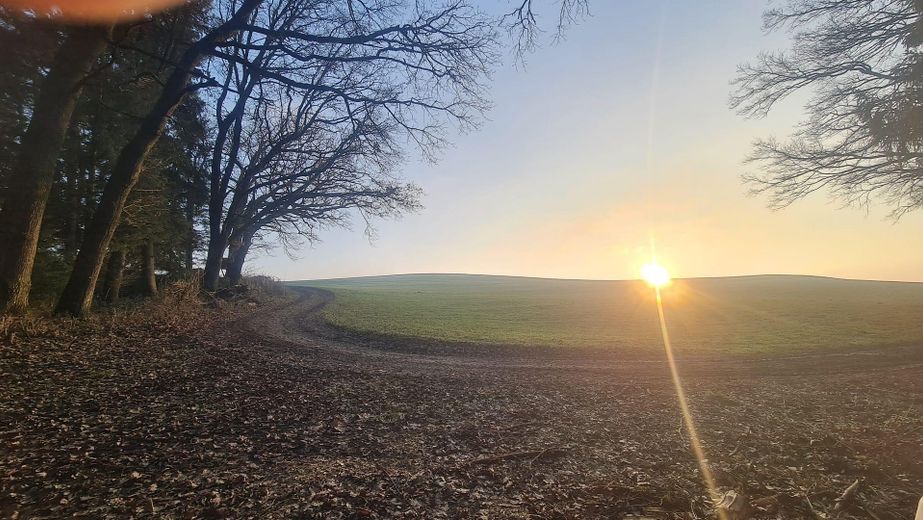 Ehemaliger Bauernhof mit Stadl, großem Grundstück und vielseitigen Nutzungsmöglichkeiten – Wald, 5Min. hinterm Haus