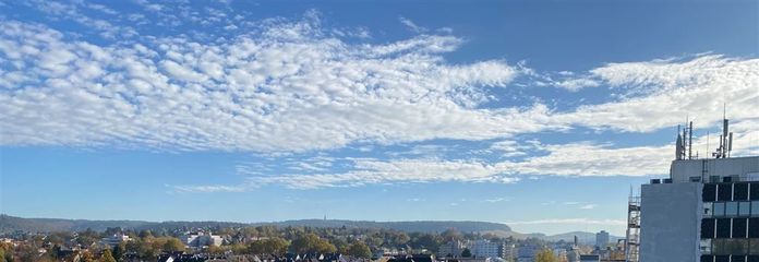 Ausblick