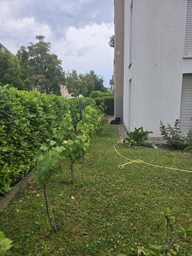 Blick in den Garten3