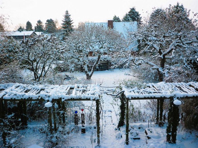 Winter-Garten