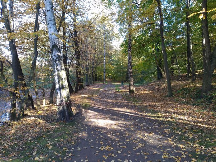 angrenzender Park
