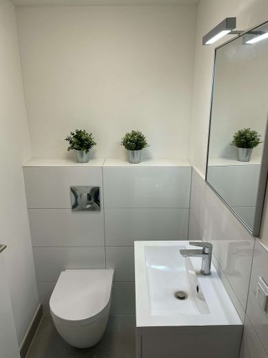 Neuwertige möblierte 2-Zimmerwohnung im Souterrain nahe SAP/Heidelberg – WC