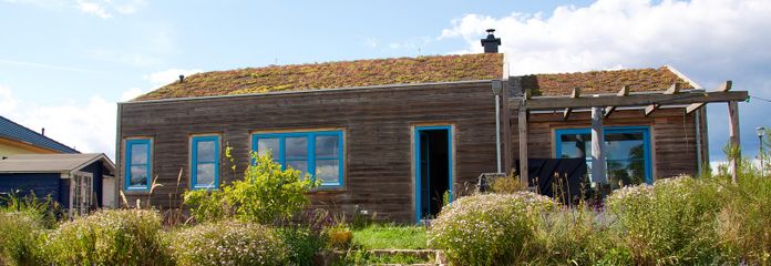 Haus am See mit Gründach – Gartenblick