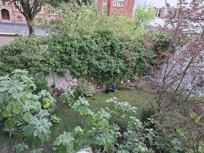 Stilvolles renoviertes Single-Apartment mit Altbau-Charme – Provisionsfrei! – Aussicht vom Balkon