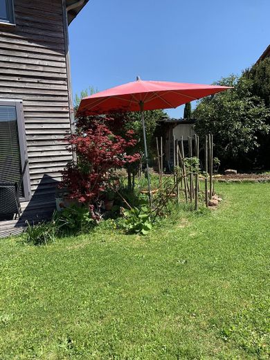 Gartenblick Osten