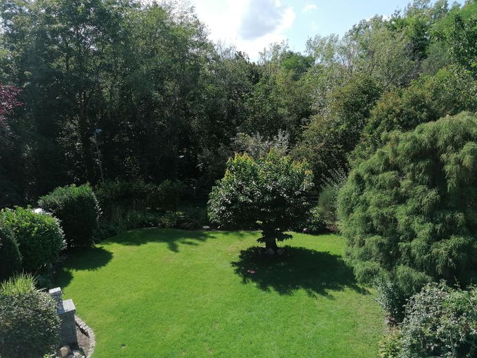Garten mit Wald