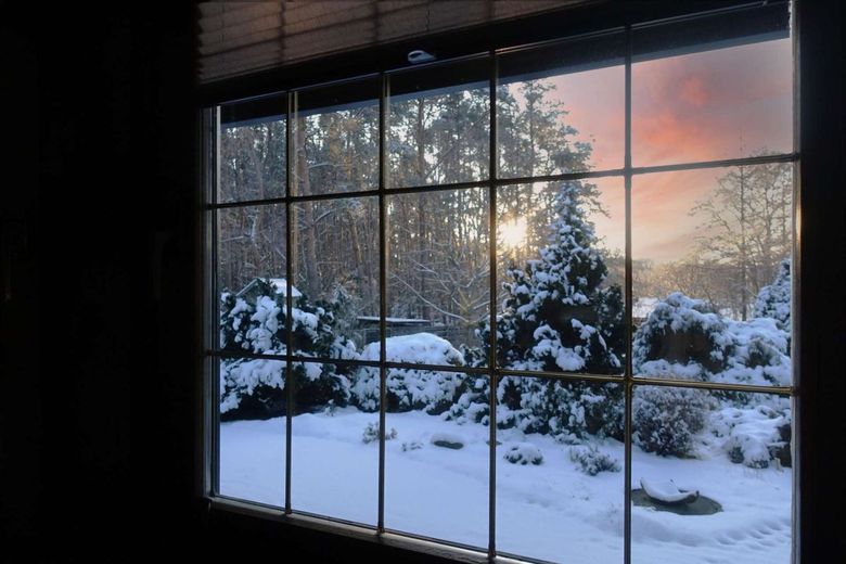 Architektenvilla am Waldrand bei Zerbst - jetzt zum attraktiven Preis &amp; sofort bezugsfertig! – Kuechenfenster Aussicht Winter