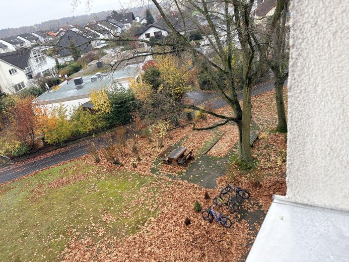 Garten gemeinschaftlich