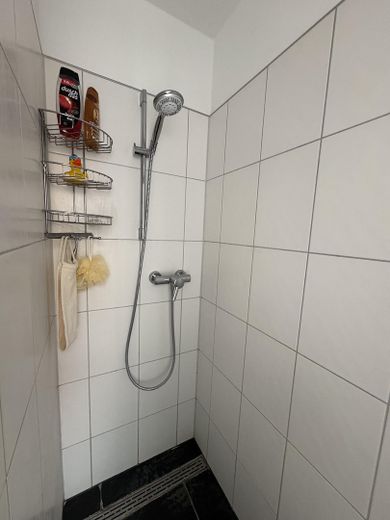 Appartement de 2 pièces rénové et éventuellement meublé – Dusche