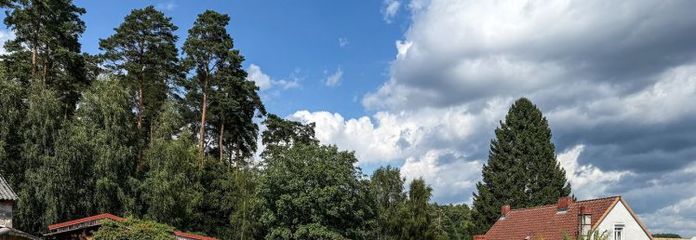Großes Baugrundstück am Waldrand für deine Traumimmobilie