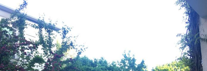 morgens vor der Tür