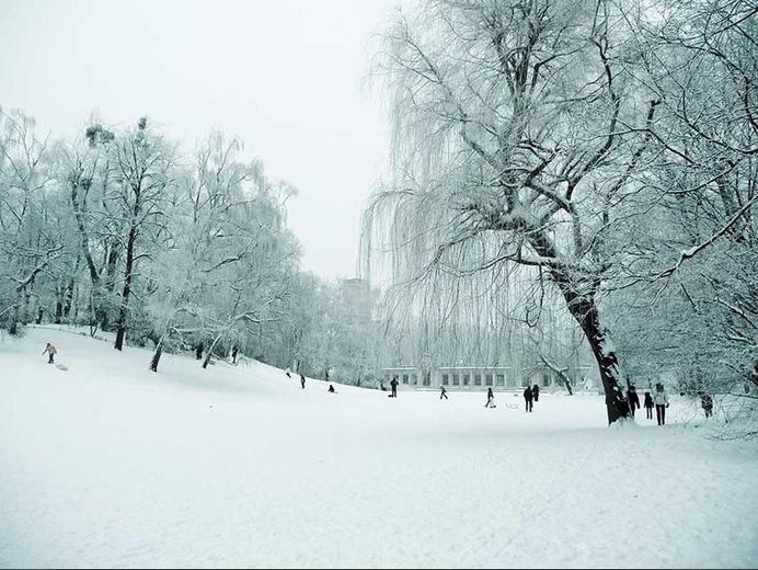 Volkspark Wilmersdorf