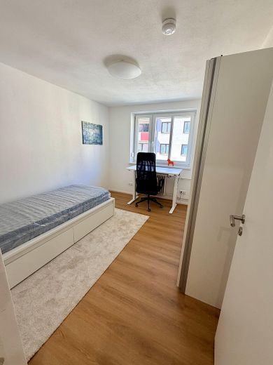 Frisch renoviertes WG-Zimmer  – 10 Min. zur TH Nürnberg (Ohm), Küche & Bad ab 1.8 – Zimmer 2