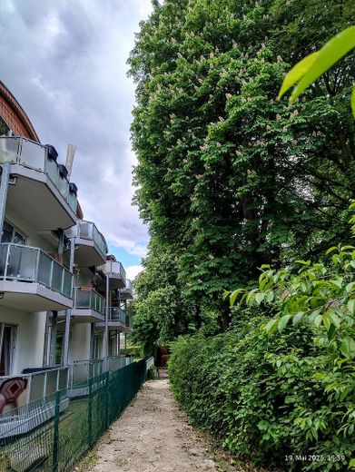 Charmante 3-Zi.- Maisonettewhg, TG-Stellplatz ,Garten, Balkon in grüner Lage von Hamburg Meiendorg – Hinterseite des Objekts
