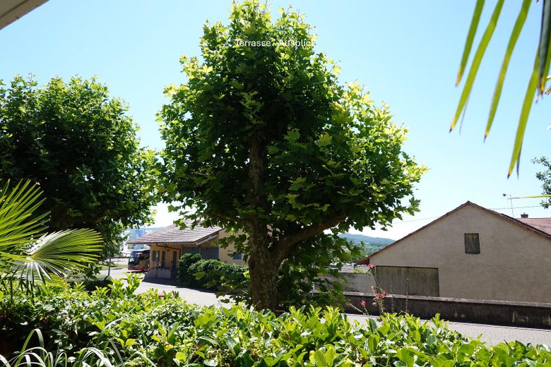 Wohnen mit Wohlfühlfaktor: 4,5 Zimmer Maisonette mit Terrasse, Balkon & Weinbergblick – Terrasse - Ausblick
