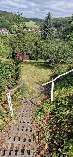 Schönes Freistehendes Haus in Bad Sachsa-Steina – Treppe zum Garten_Bild 2