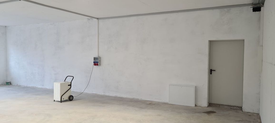 Halle Bild UG (2)