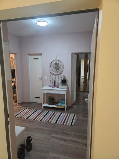 Attraktive Erdgeschosswohnung mit 16 m² Sonnenterrasse – provisionsfrei vom Eigentümer – Foto 7