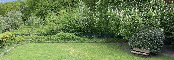 Garten bzw. Baugrundstück