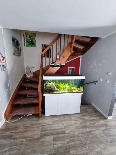 Treppe in OG / Keller