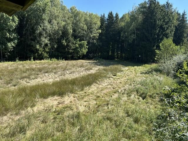 Paraíso rural/ bosque-pradera-agua – Wiese Teilfläche