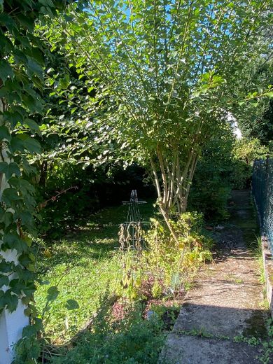 Garten Bild 2