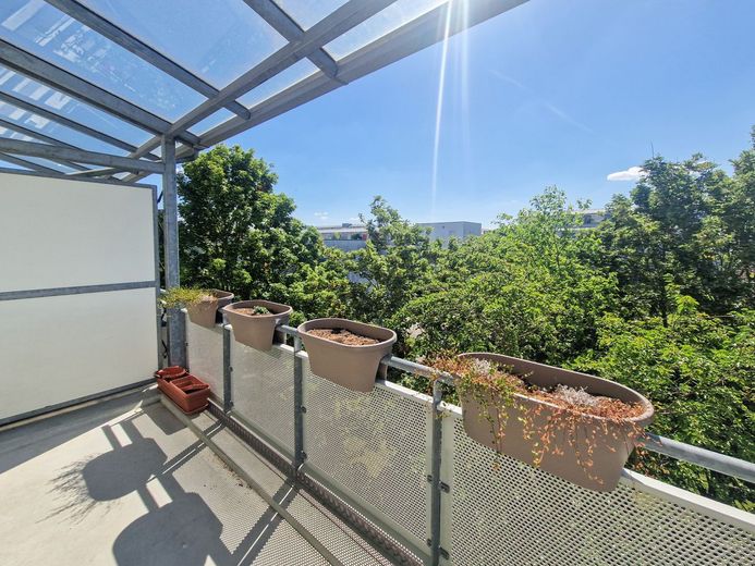 Elegante 3-Zimmer-Wohnung mit Westbalkon in Top-Lage Mainz-Gonsenheim - bezugsfrei! – Balkon