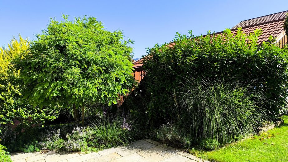 Ansicht von Terrasse