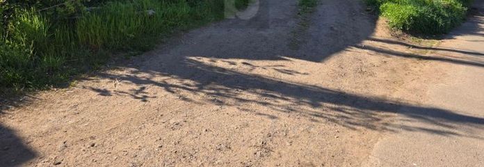 PFERDEHALTUNG MIT GROßEM GRUNDSTÜCK