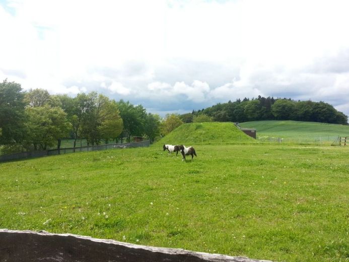 Bild 10