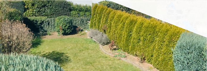 Gartenansicht
