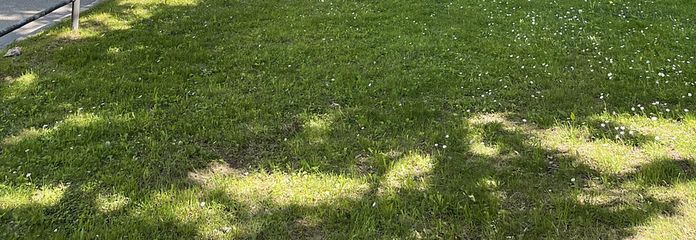 Allee, hier gleich rechts