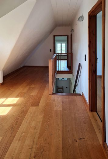 Casa di campagna con tetto di paglia in posizione assolutamente isolata – OG Flur