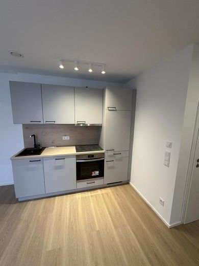 Neubau - Erstbezug - Niedrigenergiehaus - 1 ZW inkl. EBK, Stellplatz, Terrasse ca. 45m² Wfl. – EBK
