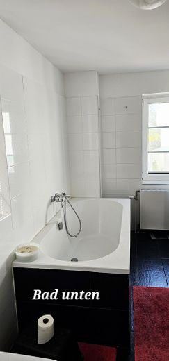 Tu sueño de tener un caballo en casa se hace realidad – Bad EG