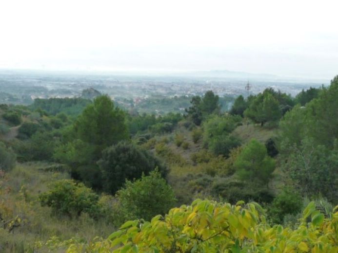 albero:) Priorat’ta panoramik konum – Fotoğraf 1
