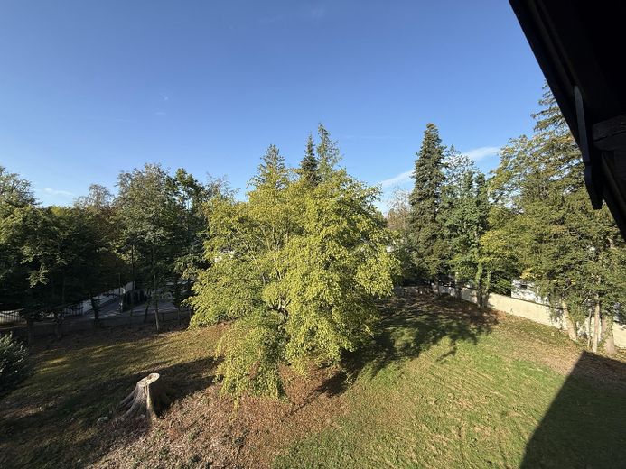 Terreno tranquillo in posizione privilegiata a Grünwald - divisibile e senza provvigioni – Foto 4