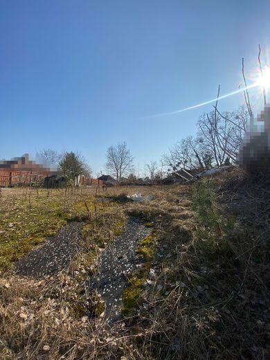 Hang oben (Gartenfläche)