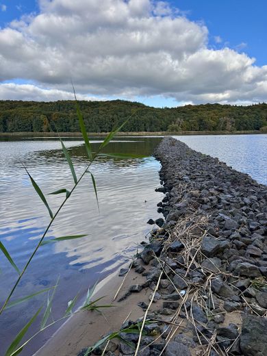 Elbe 5 Gehminuten entfernt